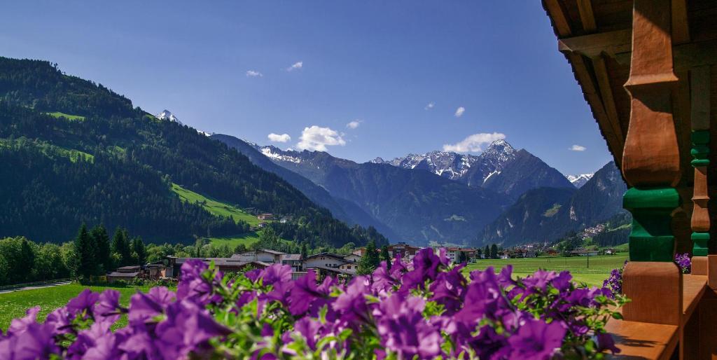 Villa Haidacher Relax & Lifestyle Apartments Целль-ам-Ціллер Номер фото